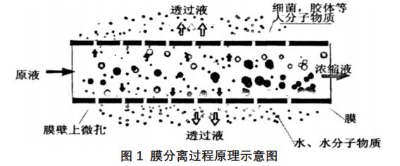 電鍍廢水處理技術